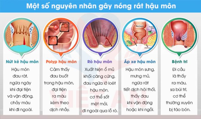 Nóng Rát Hậu Môn Sau Khi Đại Tiện Gallery 1