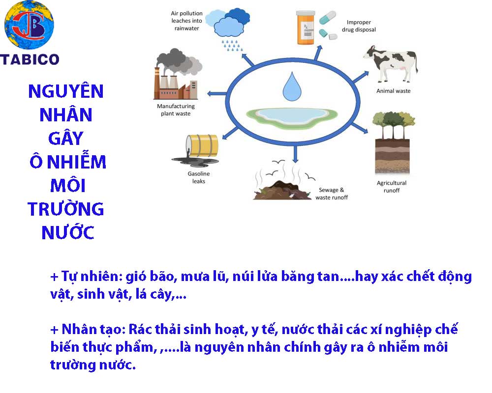 Ô nhiễm môi trường: Thực trạng, nguyên nhân và giải pháp Gallery 2