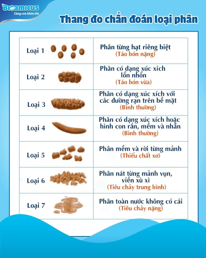 Phân nhỏ rời rạc là gì? Gallery 1