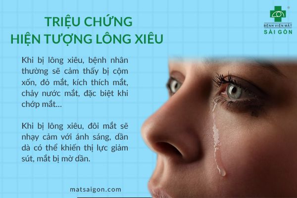 Vợi lòng là gì? Gallery 1