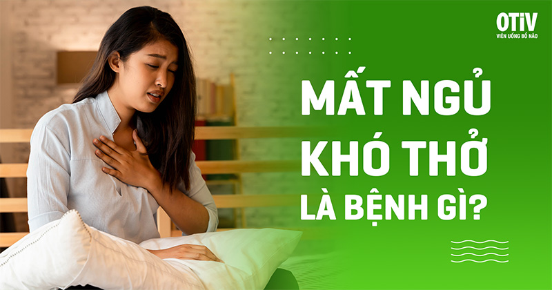 Thơ Không Ngủ Được: Tâm Sự Giữa Đêm Vắng Gallery 1
