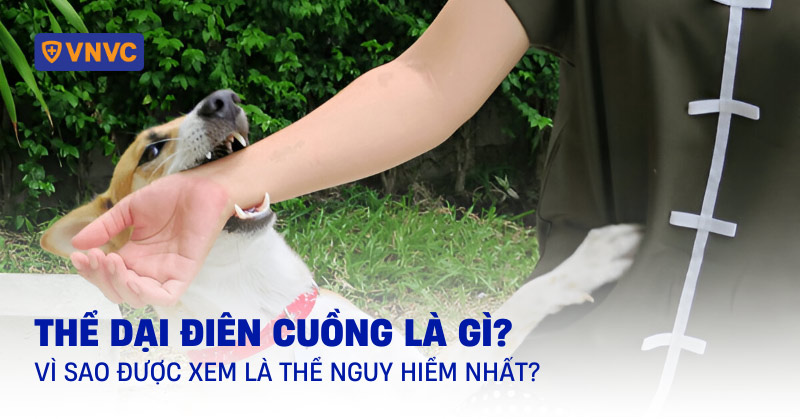 Điên Cuồng Là Gì? Gallery 2