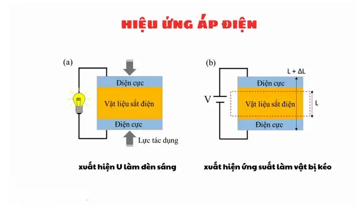 ấp a ấp úng Gallery 1