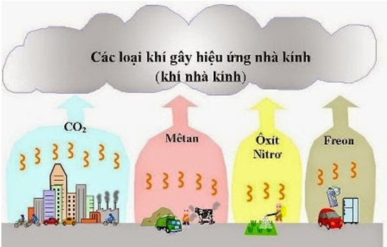 Dạt nhà là gì? Gallery 1