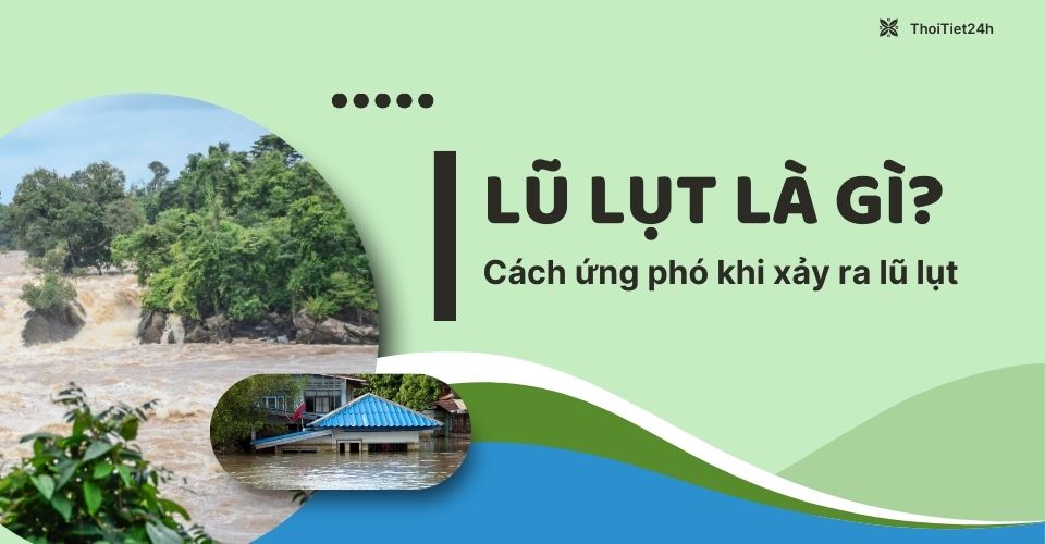Lụt nghề là gì? Gallery 1