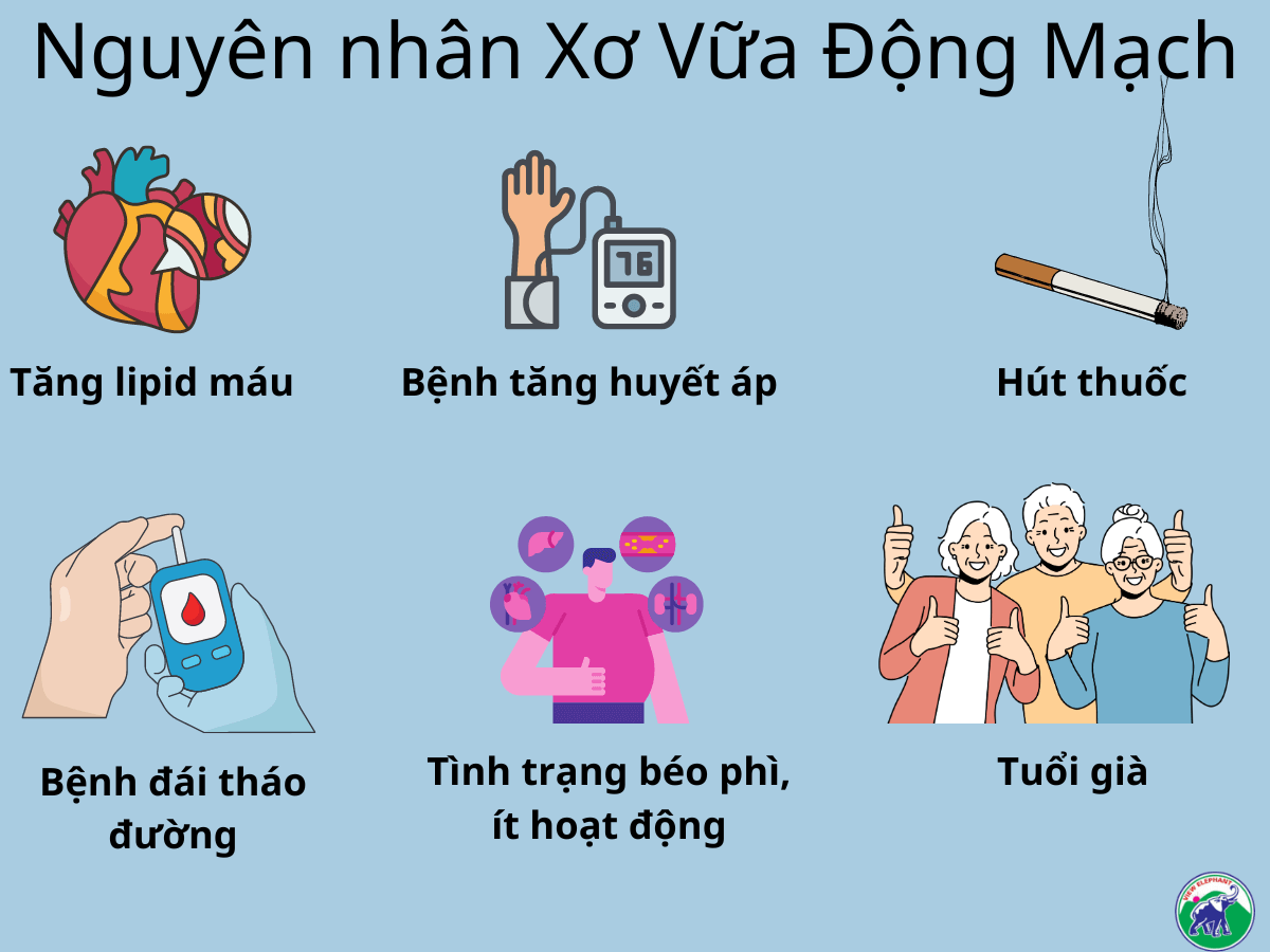 Xô sát là gì? Định nghĩa, nguyên nhân và cách khắc phục Gallery 1