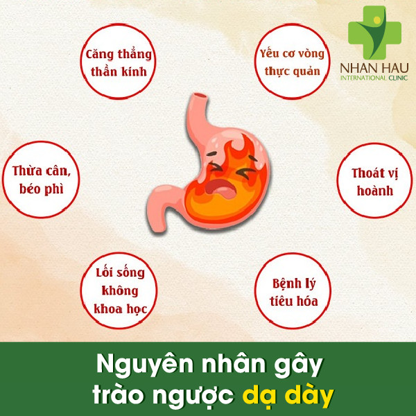 Hội chứng trào ngược là gì? Gallery 1