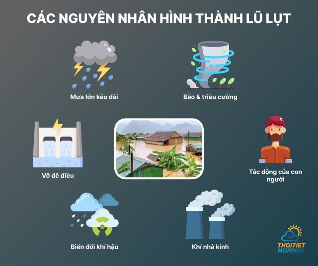 Lứt nối từ là gì? Hướng dẫn chi tiết và ví dụ Gallery 1