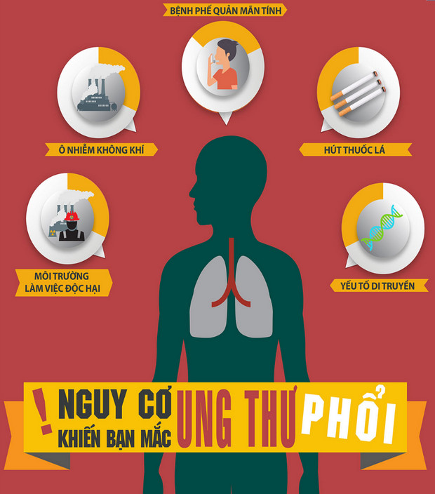 Phổi Thô Là Gì? Gallery 1
