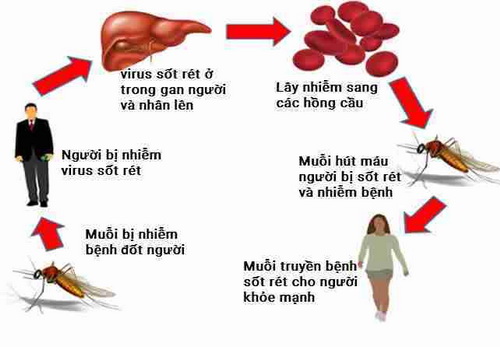 Thiết sót là gì? Định nghĩa, nguyên nhân và cách khắc phục Gallery 2
