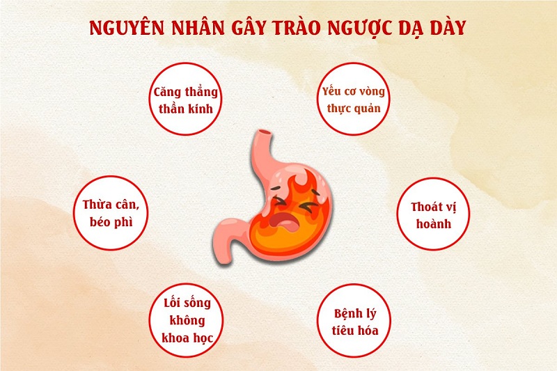 Thoái Trào Là Gì? Gallery 2