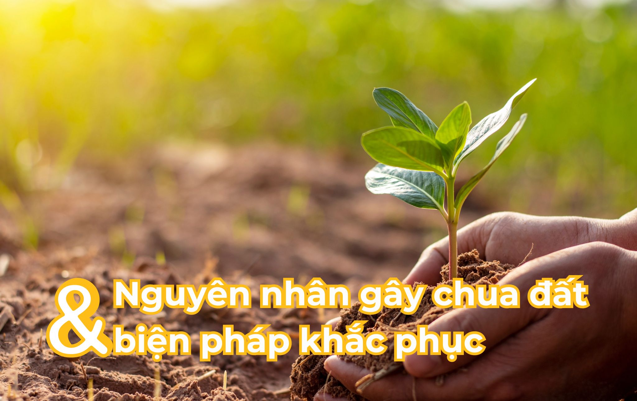 Trối cãi là gì? Định nghĩa, nguyên nhân và cách giải quyết Gallery 1