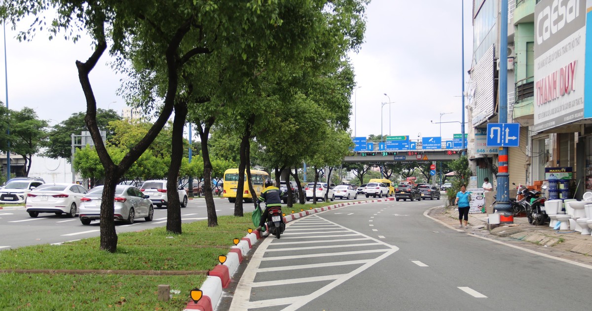 Vạch Xương Cá Màu Vàng: Nguyên Nhân và Cách Xử Lý Gallery 1