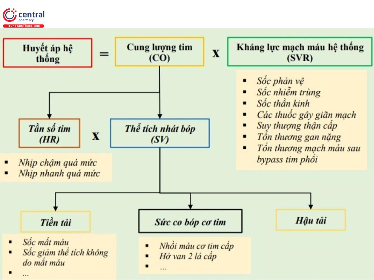 Sốc Óc Là Gì? Gallery 1
