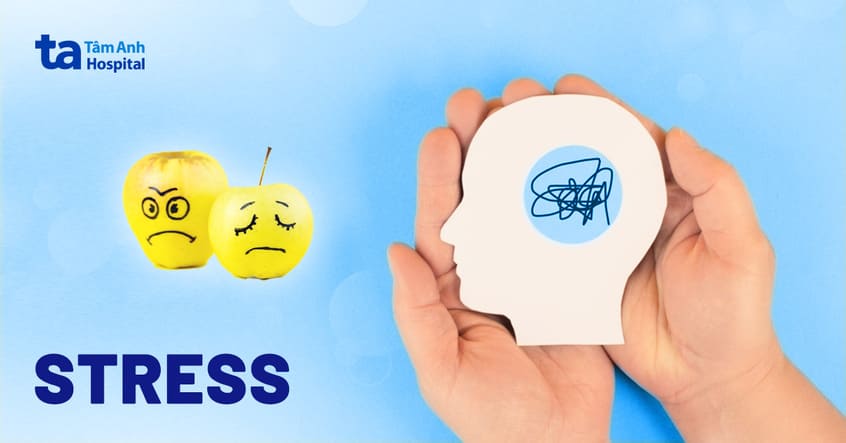 Stress Nghĩa Tiếng Việt Là Gì? Gallery 2