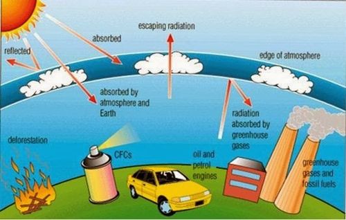 Sự suy giảm tầng ozon là gì? Gallery 1