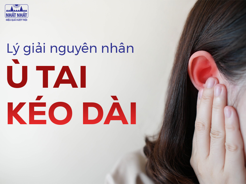 Giải mã ù tai Gallery 1