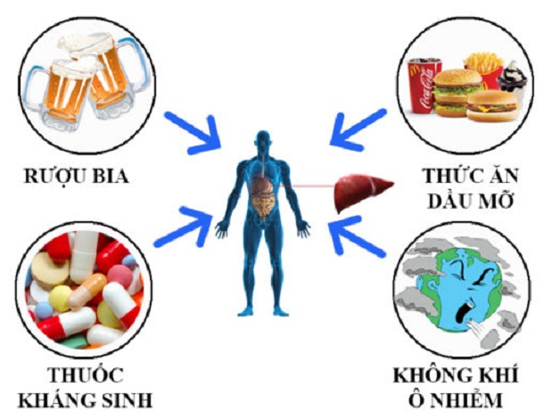 Xơ suất là gì? Định nghĩa, nguyên nhân và cách phòng ngừa Gallery 1