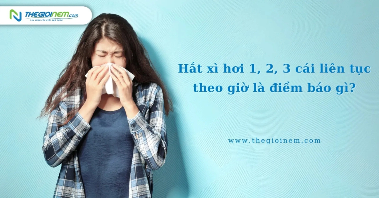 Hắc xì 3 cái Gallery 1