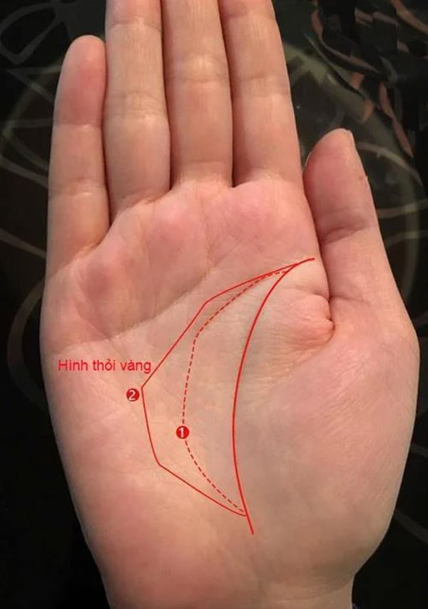 Lòng bàn tay có hình chiếc lá Gallery 1