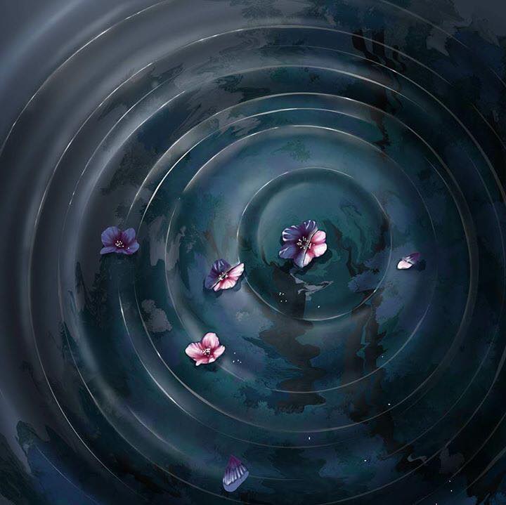 Hoa trong gương là gì Gallery 1