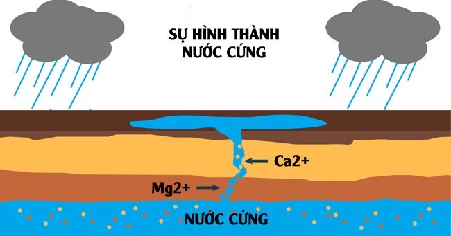 Lý Thuyết Nước Cứng Gallery 2