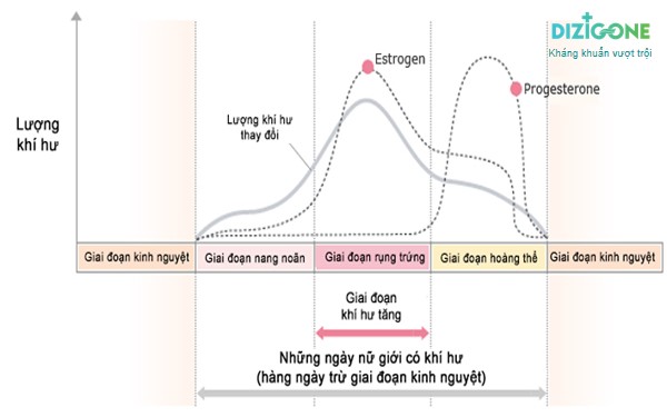 Khí hư trước kỳ kinh nguyệt: Nguyên nhân, dấu hiệu và cách xử lý Gallery 1
