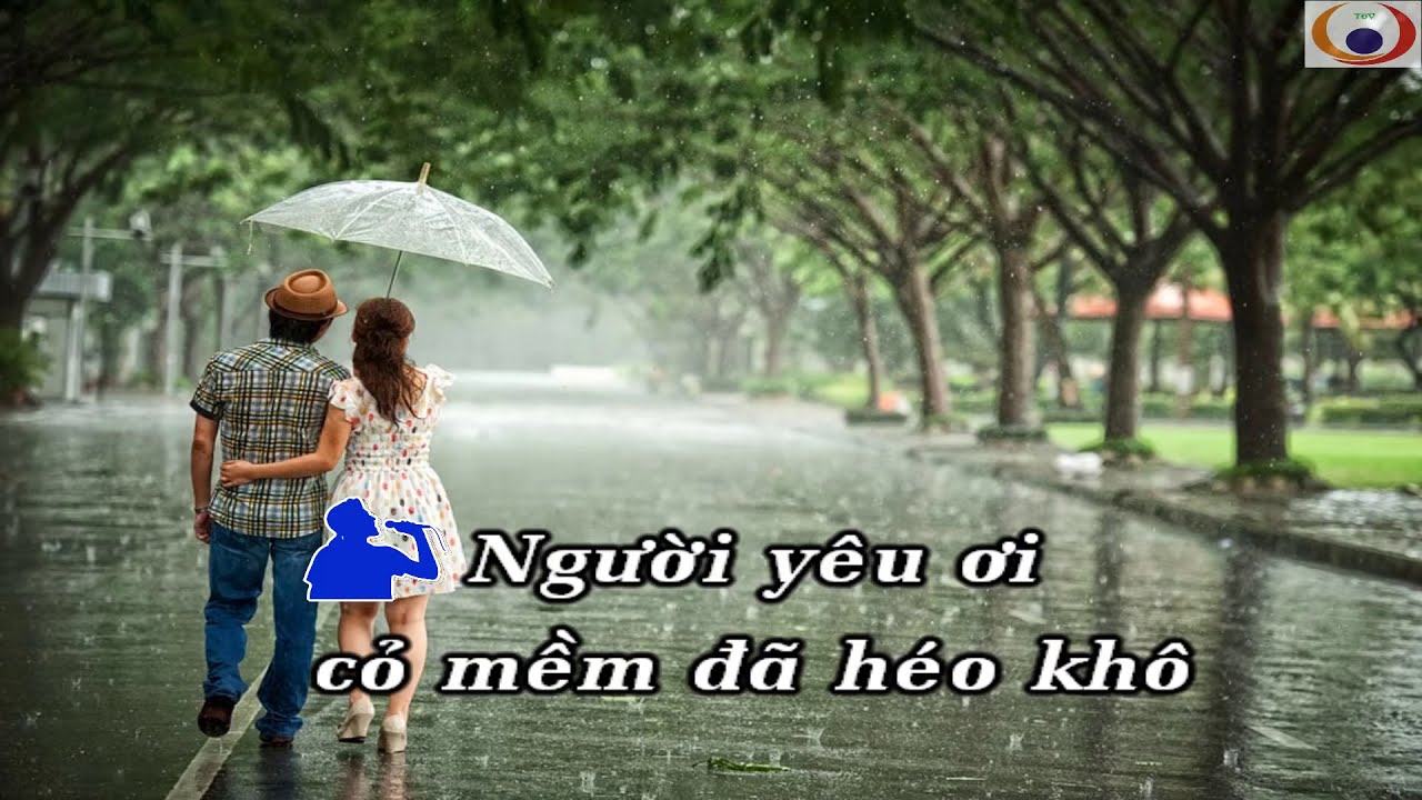 Cỏ mềm đã héo khô Gallery 1