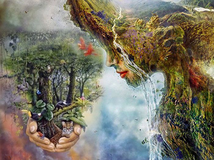 Mẹ Thiên Nhiên Nổi Giận Gallery 1
