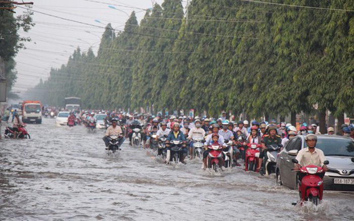 Nước Ngập Cần Thơ: Nguyên Nhân, Hậu Quả và Giải Pháp Gallery 1