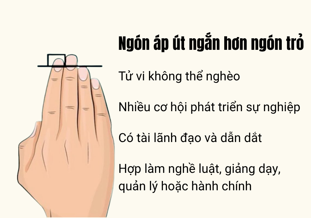 Ngón trỏ ngắn hơn ngón áp út Gallery 1
