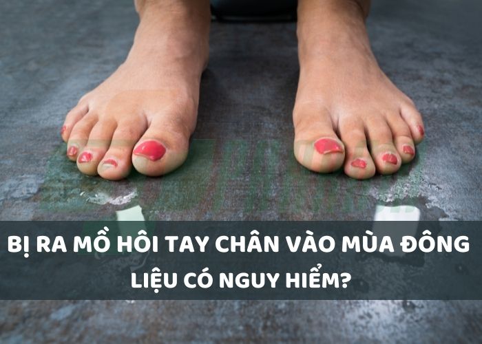 Ra Mồ Hôi Tay Chân Vào Mùa Đông: Nguyên Nhân và Cách Khắc Phục Gallery 1