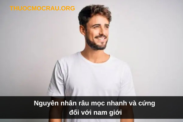 Râu Mọc Nhanh Và Cứng: Bí Quyết Cho Bộ Râu Dày Dặn, Mạnh Mẽ Gallery 1