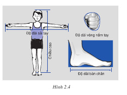 Sải tay dài hơn chiều cao: Bí quyết, nguyên nhân và ý nghĩa Gallery 1