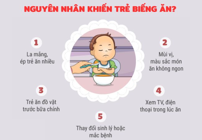 Giai đoạn trẻ biếng ăn: Nguyên nhân, dấu hiệu và cách khắc phục Gallery 1