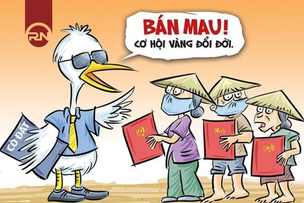 Nguyên tắc cò đất: Bí quyết thành công trong nghề môi giới bất động sản
