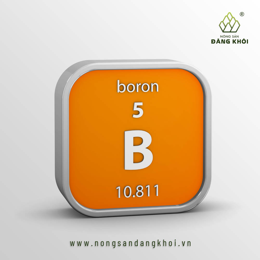 Nguyên tố Bo là gì?