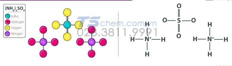 NH4SO4 có kết tủa không?