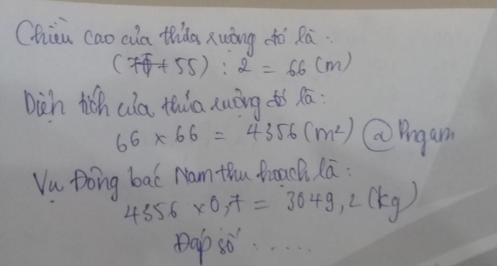 Nhà bác Nam được thôn chia một thửa ruộng