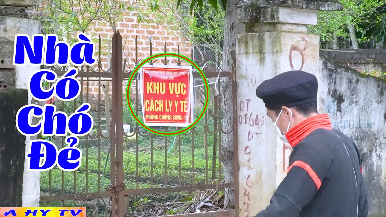 Nhà Có Chó Đẻ: Chăm Sóc Mẹ Chó Và Chó Con Khỏe Mạnh