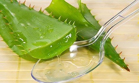 Nha đam kỵ với thực phẩm nào? Gallery 2