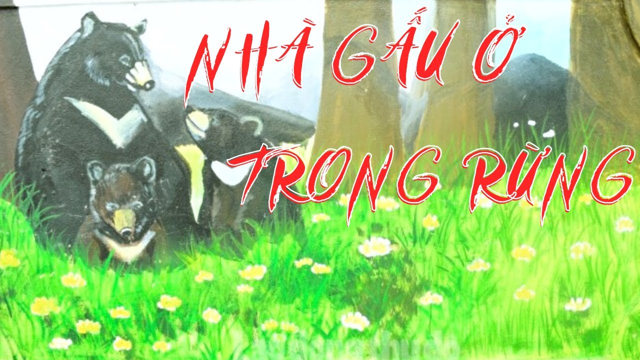 Nhà Gấu Ở Trong Rừng