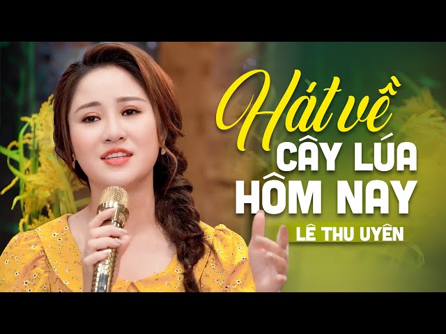Nhạc Hát Về Cây Lúa Hôm Nay Gallery 2