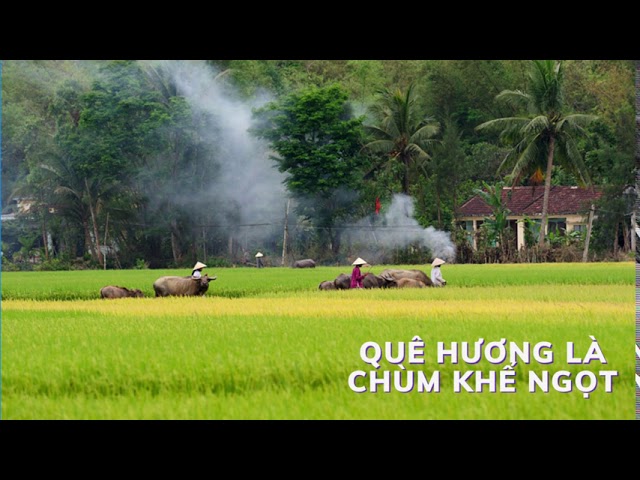 Nhạc Không Lời Quê Hương Là Chùm Khế Ngọt