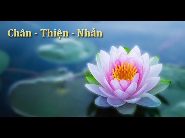 Nhạc Pháp Luân Công: Âm Nhạc Thiền Định Và Sự Thăng Hoa Tâm Hồn