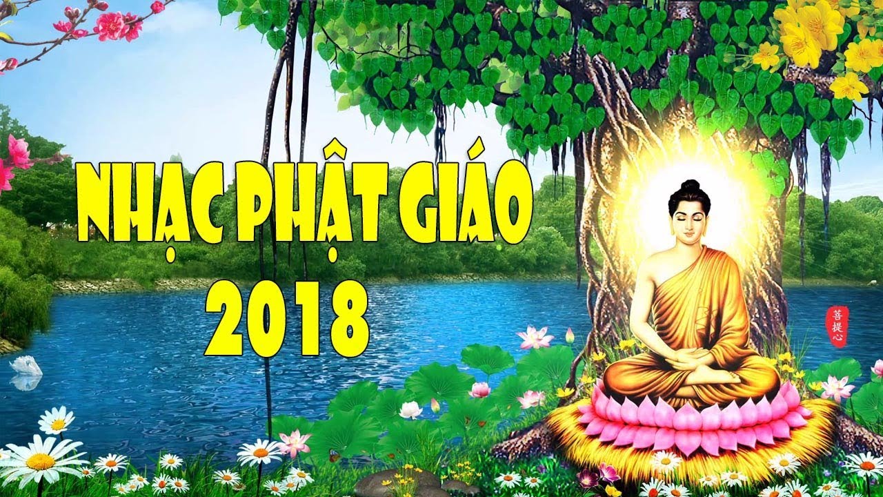 Nhạc Phật Để Ngủ Không Lời: Giúp Bạn Ngủ Ngon Và Tìm Lại Sự Bình An