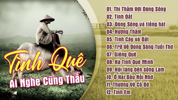 Nhạc Trữ Tình Dễ Ngủ: Gợi ý những bản nhạc giúp bạn dễ ngủ hơn