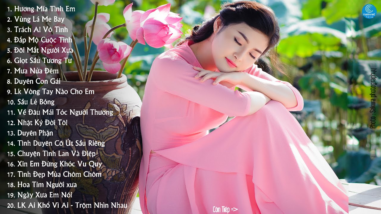 Nhạc Trữ Tình Hay - Những Bản Nhạc Làm Say Đắm Lòng Người