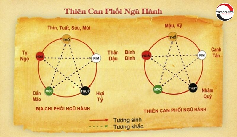 Nhâm nghĩa là gì?