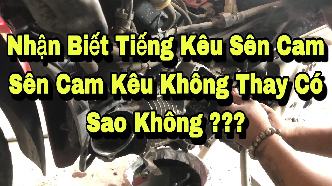 Nhận biết tiếng kêu sên cam